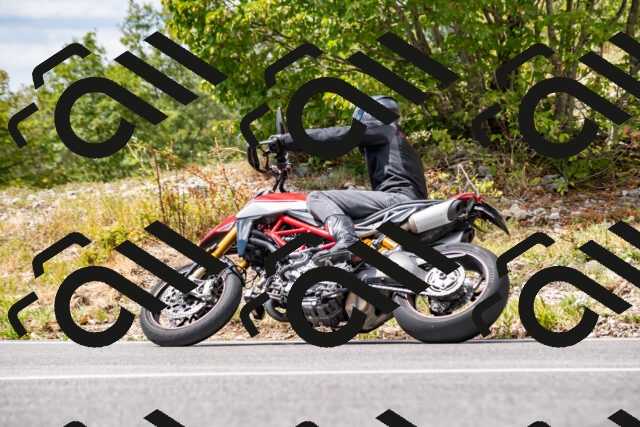 202508231333-_DSC5958_d2_