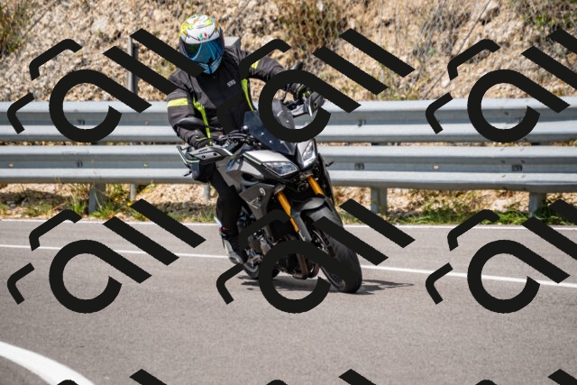 202508231333-_DSC5959_d2_