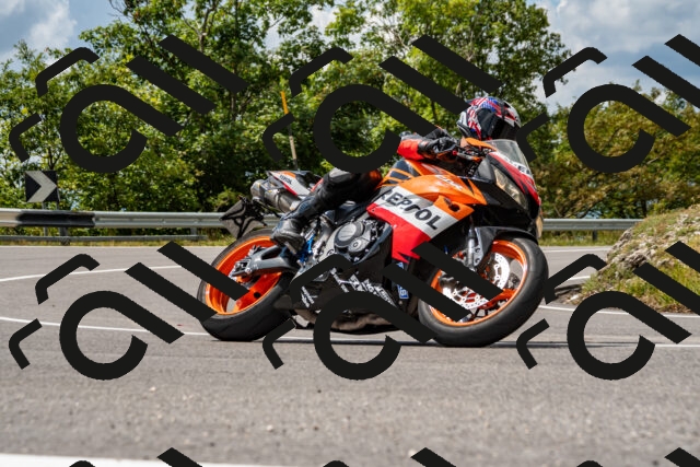 202508231340-_DSC5982_d2_