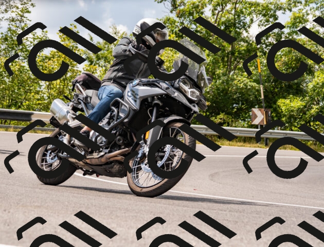 202508231343-_DSC5986_d2_