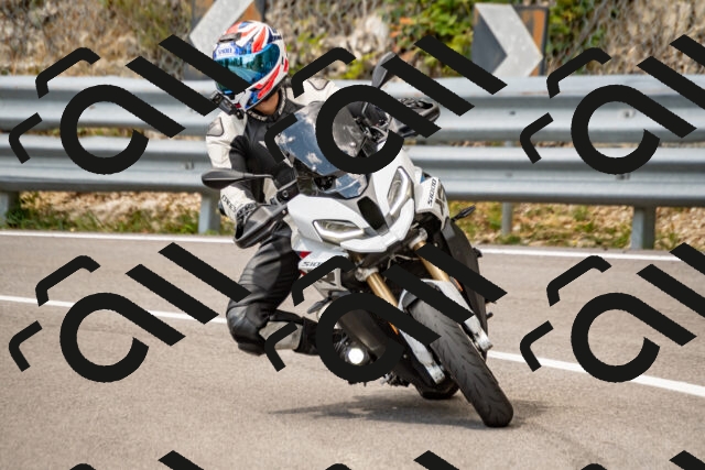 202508231345-_DSC5993_d2_