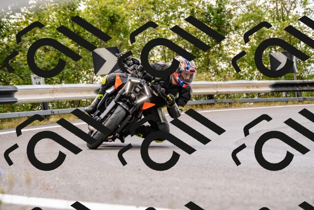 202508231351-_DSC6003_d2_