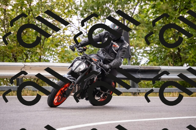 202508231352-_DSC6009_d2_