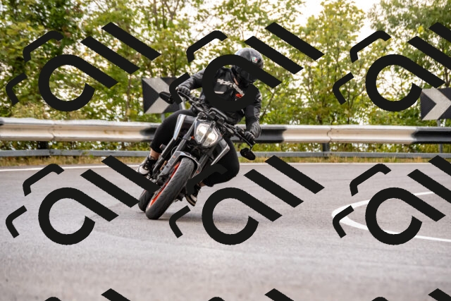 202508231352-_DSC6010_d2_