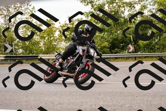 202508231352-_DSC6011_d2_