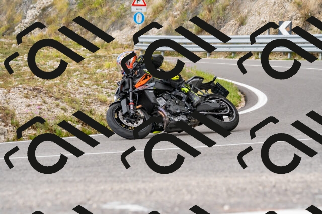 202508231353-_DSC6015_d2_