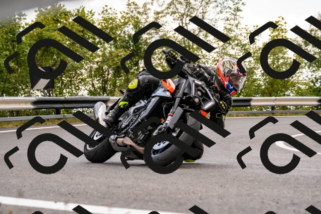 202508231354-_DSC6020_d2_