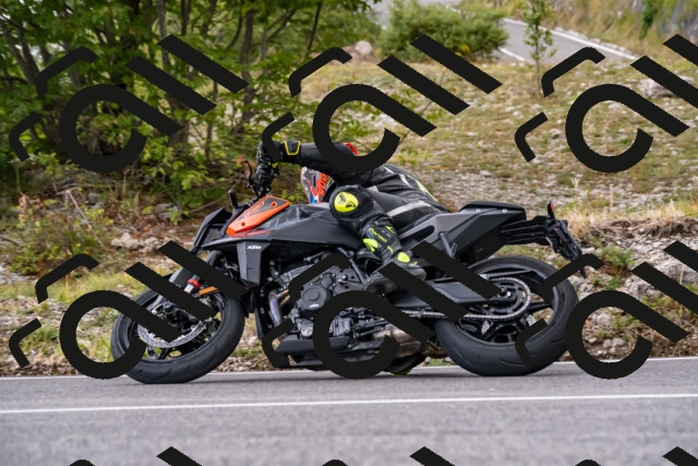 202508231357-_DSC6036_d2_