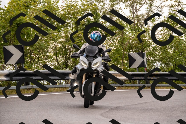 202508231358-_DSC6039_d2_