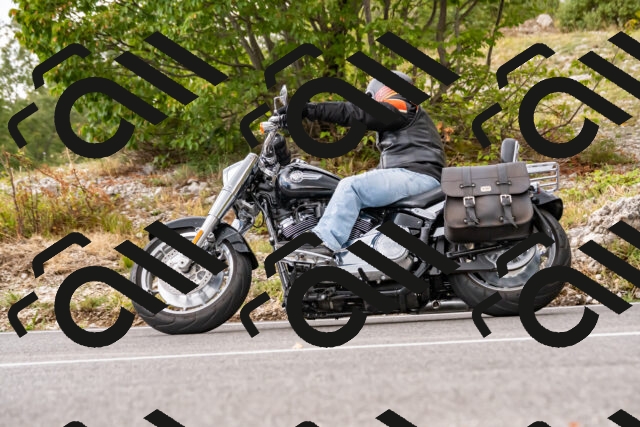 202508231359-_DSC6056_d2_