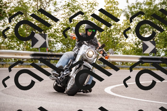 202508231404-_DSC6062_d2_