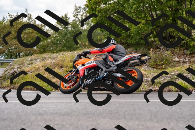 202508231404-_DSC6074_d2_