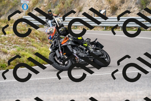 202508231405-_DSC6077_d2_