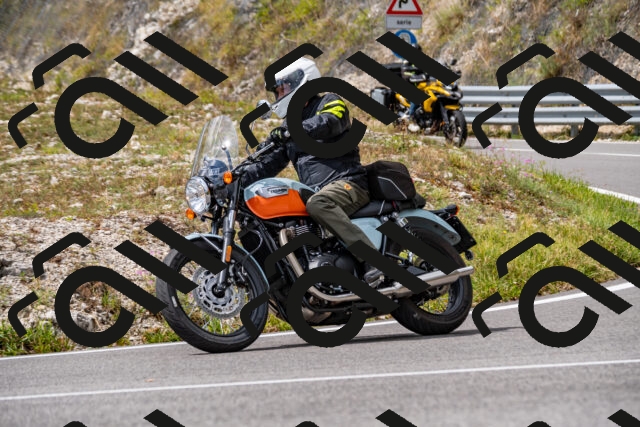 202508231415-_DSC6115_d2_