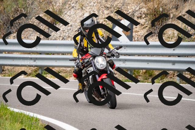 202508231418-_DSC6124_d2_