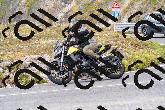 202508231419-_DSC6132_d2_