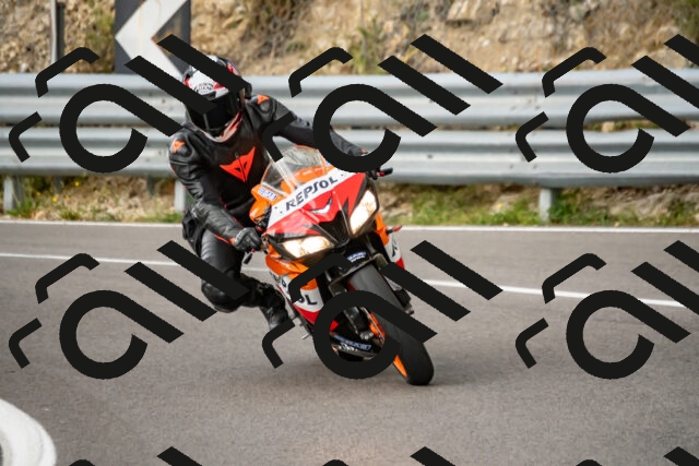 202508231429-_DSC6153_d2_