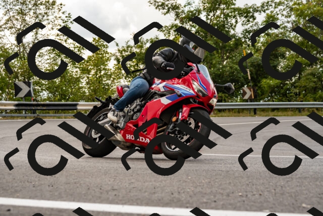 202508231434-_DSC6167_d2_