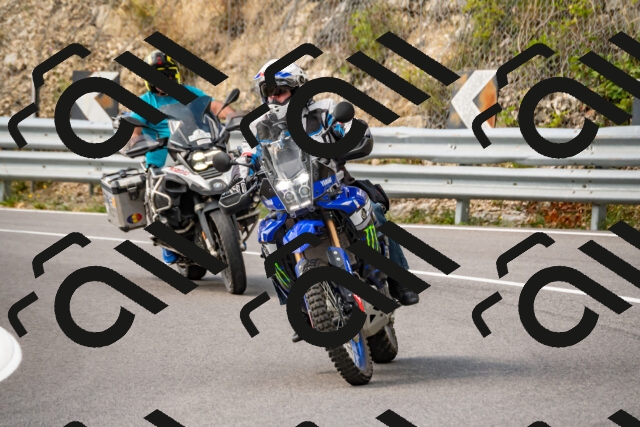 202508231435-_DSC6174_d2_