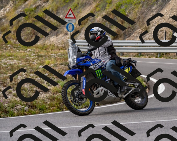 202508231435-_DSC6175_d2_