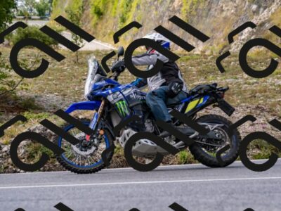 202508231435-_DSC6176_d2_