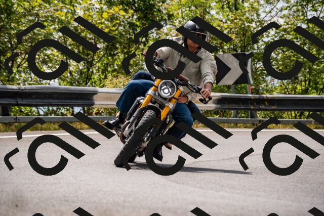 202508231456-_DSC6195_d2_