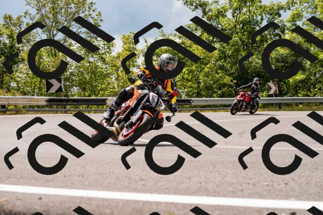 202508231456-_DSC6198_d2_