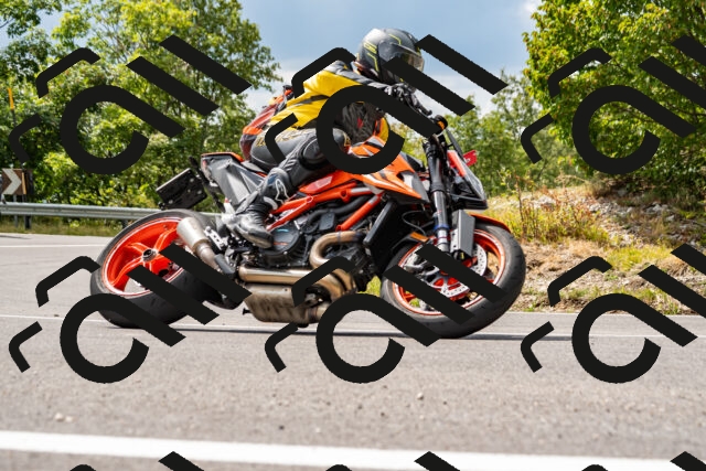 202508231456-_DSC6200_d2_