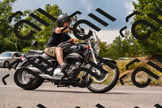 202508231459-_DSC6213_d2_