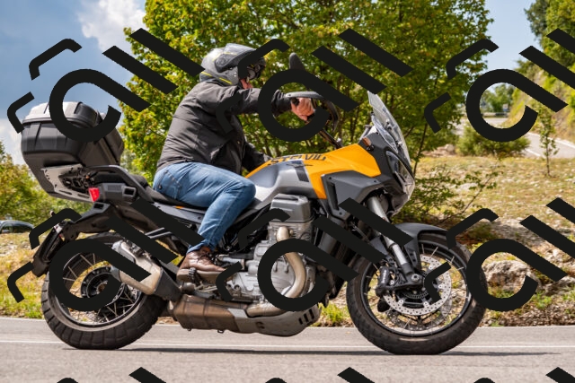 202508231502-_DSC6220_d2_