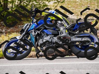 202508231509-_DSC6252_d2_