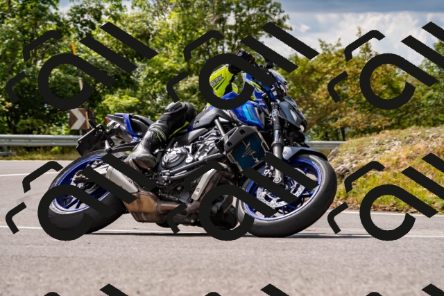 202508231510-_DSC6256_d2_