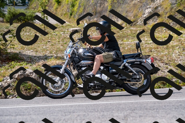 202508231522-_DSC6279_d2_