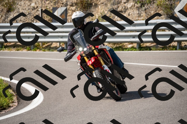 202508231529-_DSC6296_d2_