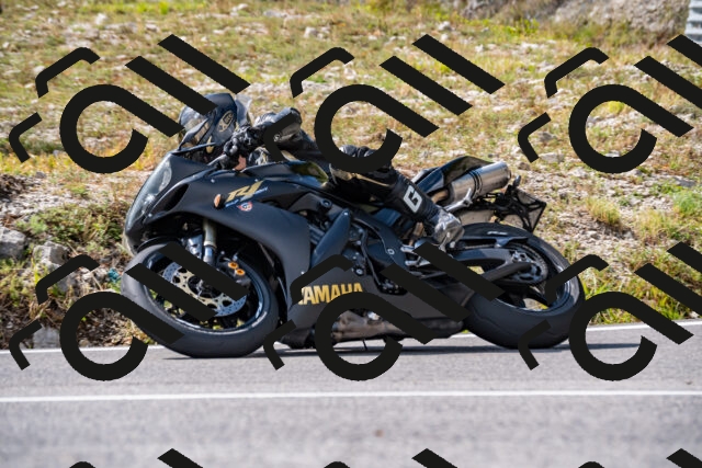 202508231530-_DSC6317_d2_