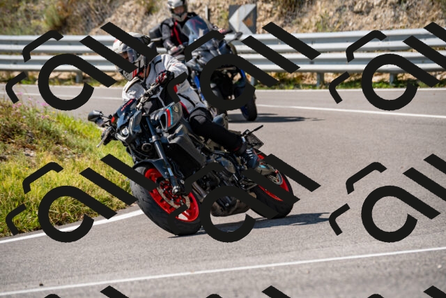 202508231540-_DSC6337_d2_