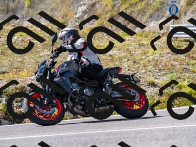 202508231540-_DSC6338_d2_