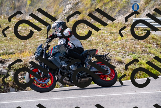 202508231540-_DSC6338_d2_