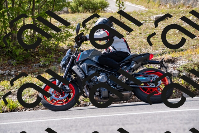 202508231540-_DSC6339_d2_