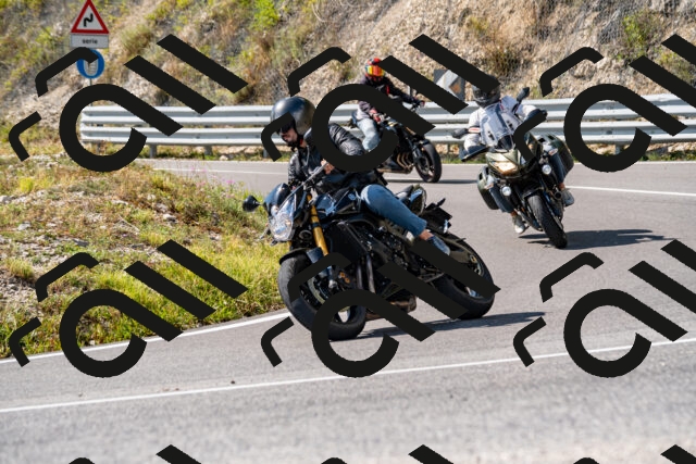 202508231541-_DSC6355_d2_