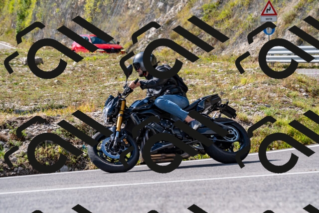 202508231541-_DSC6356_d2_