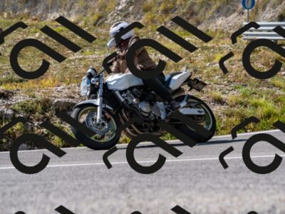 202508231541-_DSC6362_d2_