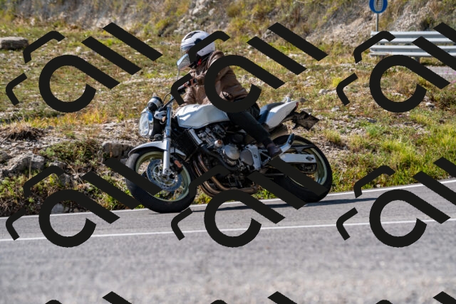 202508231541-_DSC6362_d2_