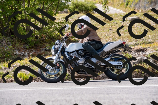 202508231541-_DSC6363_d2_