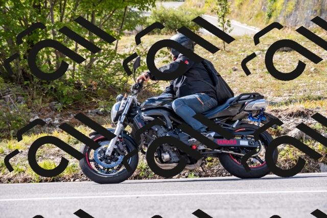 202508231541-_DSC6365_d2_