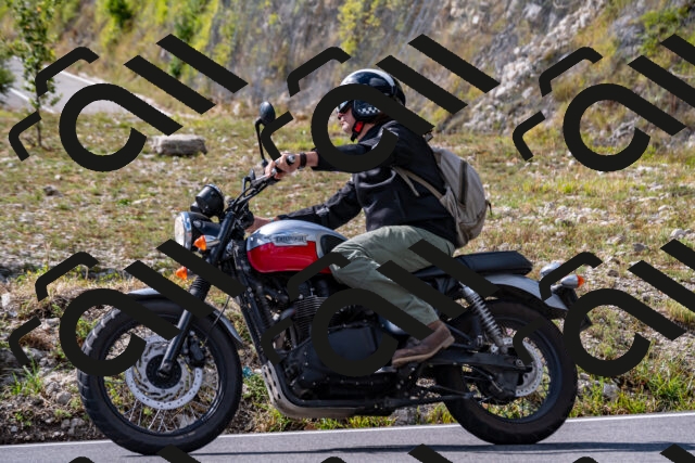 202508231548-_DSC6386_d2_