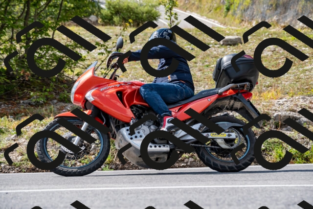 202508231548-_DSC6391_d2_