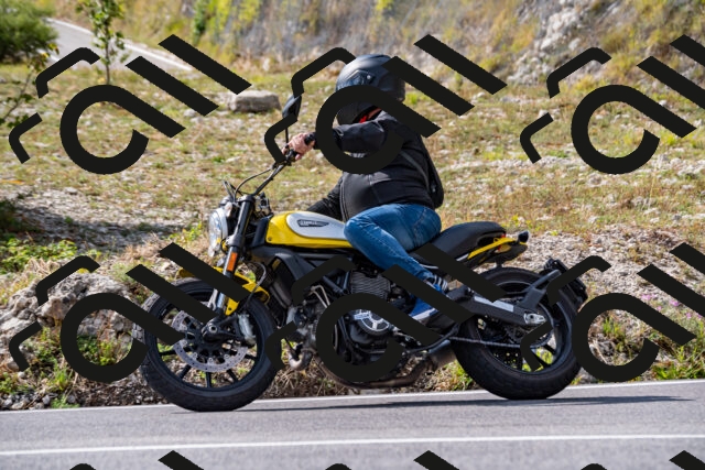 202508231548-_DSC6397_d2_