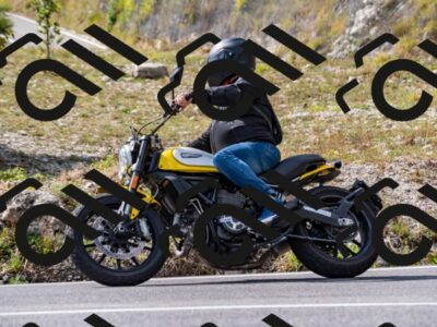 202508231548-_DSC6397_d2_