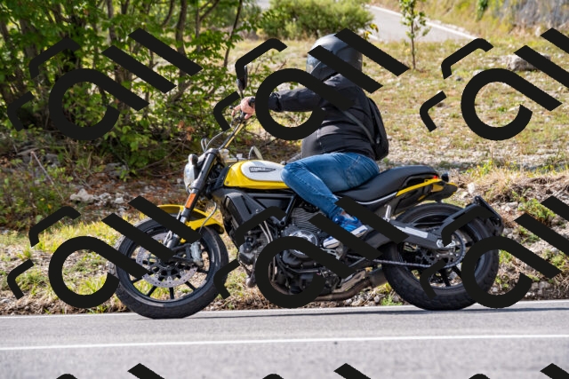 202508231548-_DSC6398_d2_